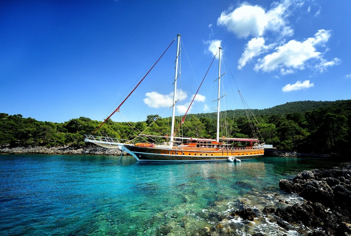 Deniz Felix Balina Gulet Turkey