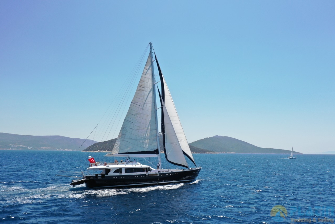 gulmaria - gul maria